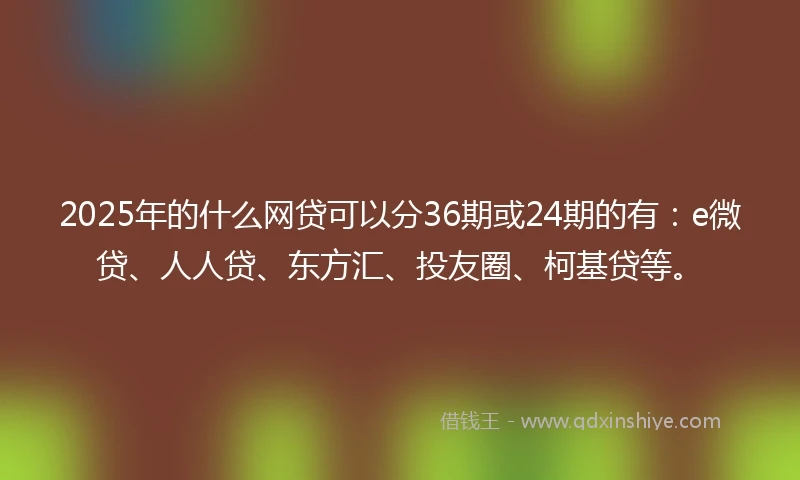 2025年的什么网贷可以分36期或24期的有：e微贷、人人贷、东方汇、投友圈、柯基贷等。