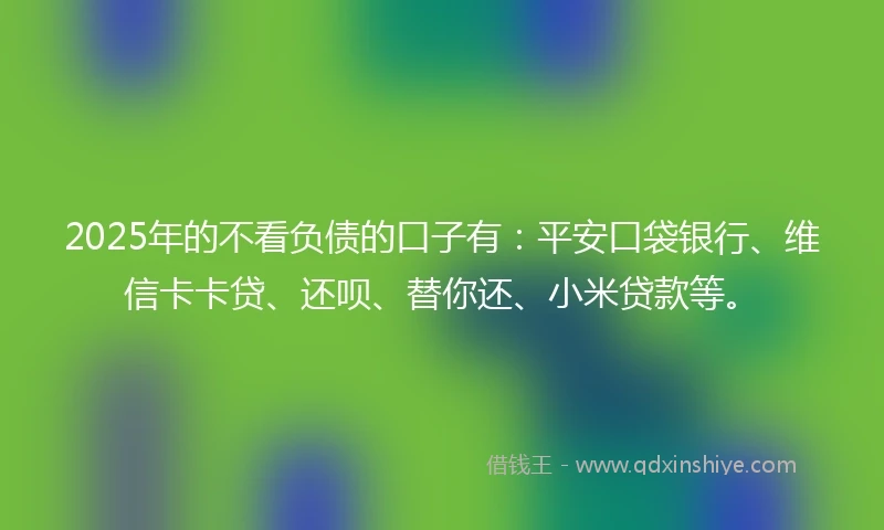 2025年的不看负债的口子有：平安口袋银行、维信卡卡贷、还呗、替你还、小米贷款等。