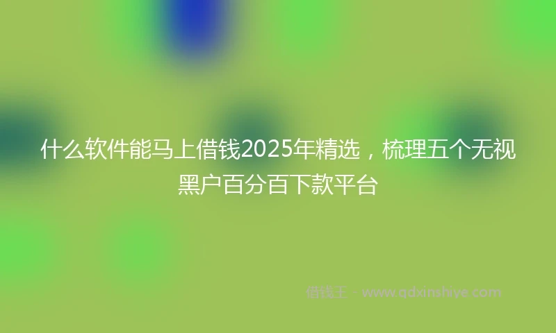 什么软件能马上借钱2025年精选，梳理五个无视黑户百分百下款平台