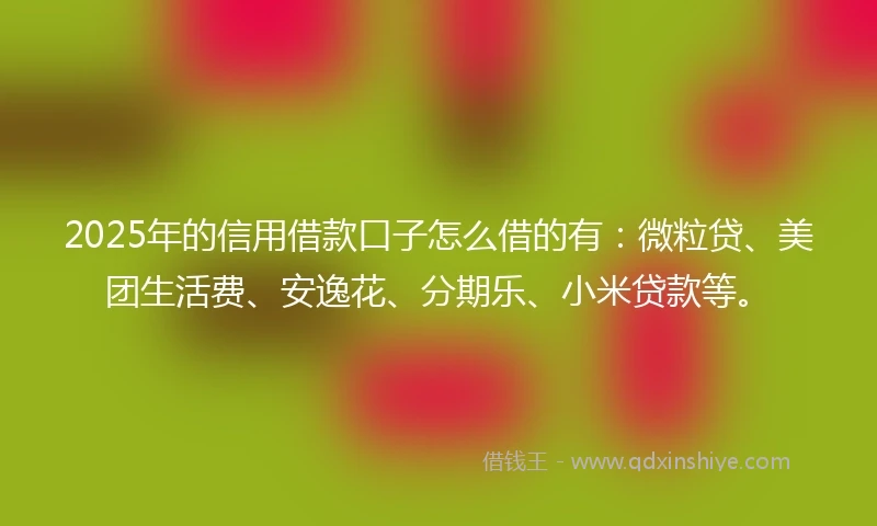 2025年的信用借款口子怎么借的有：微粒贷、美团生活费、安逸花、分期乐、小米贷款等。