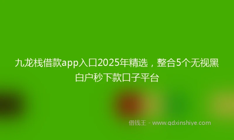 九龙栈借款app入口2025年精选，整合5个无视黑白户秒下款口子平台