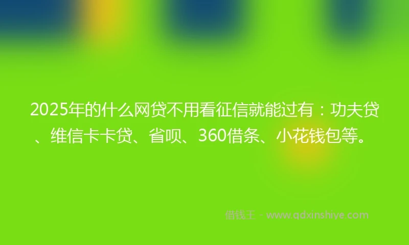 2025年的什么网贷不用看征信就能过有：功夫贷、维信卡卡贷、省呗、360借条、小花钱包等。