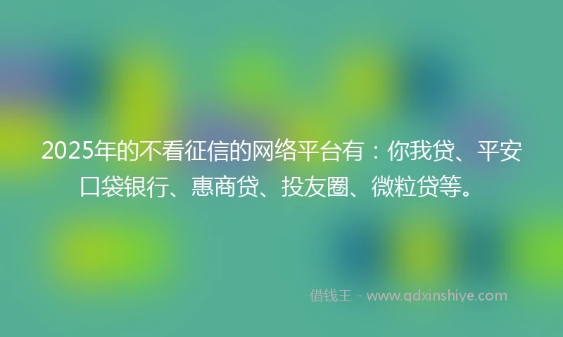 2025年的不看征信的网络平台有：你我贷、平安口袋银行、惠商贷、投友圈、微粒贷等。