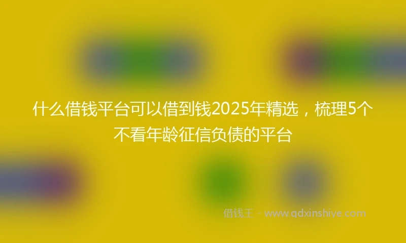 什么借钱平台可以借到钱2025年精选，梳理5个不看年龄征信负债的平台