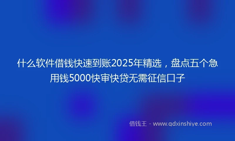 什么软件借钱快速到账2025年精选，盘点五个急用钱5000快审快贷无需征信口子