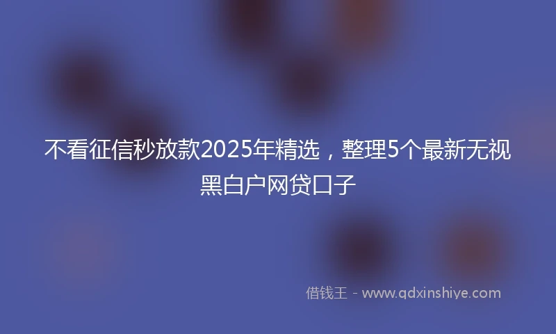 不看征信秒放款2025年精选，整理5个最新无视黑白户网贷口子