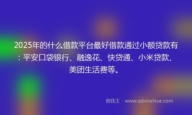 2025年的什么借款平台最好借款通过小额贷款有：平安口袋银行、融逸花、快贷通、小米贷款、美团生活费等。