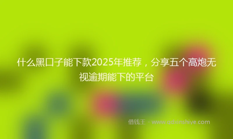 什么黑口子能下款2025年推荐，分享五个高炮无视逾期能下的平台