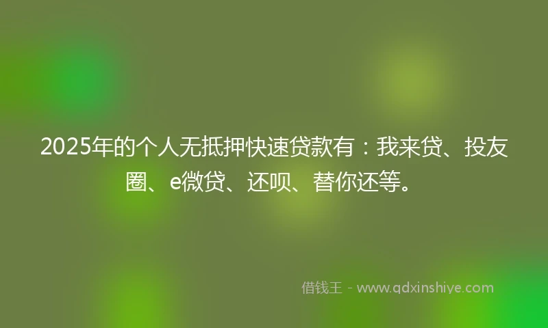 2025年的个人无抵押快速贷款有：我来贷、投友圈、e微贷、还呗、替你还等。