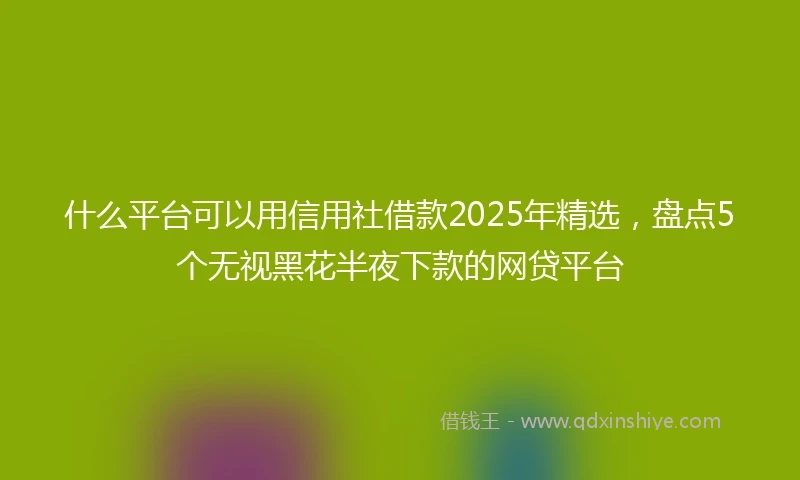 什么平台可以用信用社借款2025年精选，盘点5个无视黑花半夜下款的网贷平台