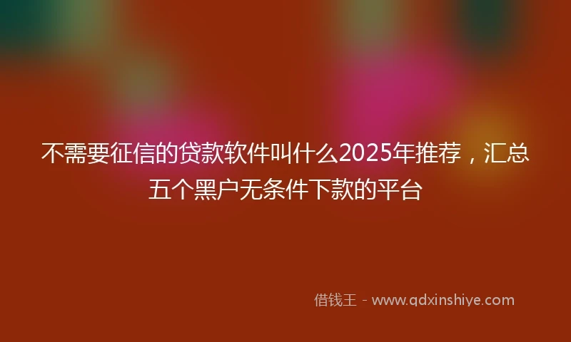 不需要征信的贷款软件叫什么2025年推荐，汇总五个黑户无条件下款的平台