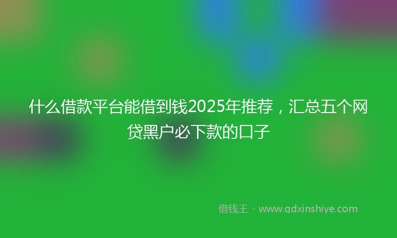 什么借款平台能借到钱2025年推荐，汇总五个网贷黑户必下款的口子