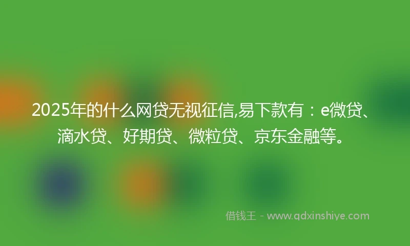 2025年的什么网贷无视征信,易下款有：e微贷、滴水贷、好期贷、微粒贷、京东金融等。