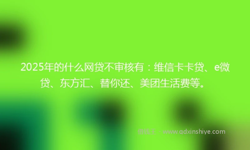 2025年的什么网贷不审核有：维信卡卡贷、e微贷、东方汇、替你还、美团生活费等。