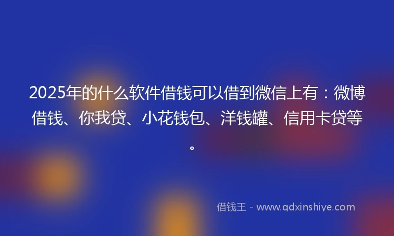 2025年的什么软件借钱可以借到微信上有：微博借钱、你我贷、小花钱包、洋钱罐、信用卡贷等。