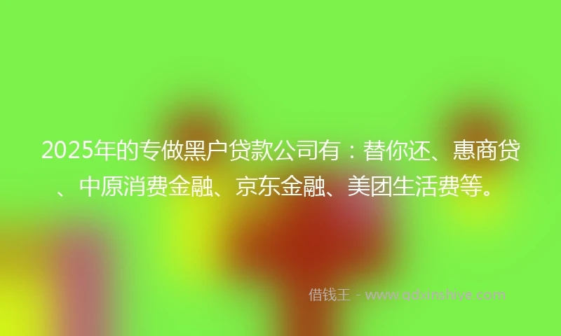 2025年的专做黑户贷款公司有：替你还、惠商贷、中原消费金融、京东金融、美团生活费等。