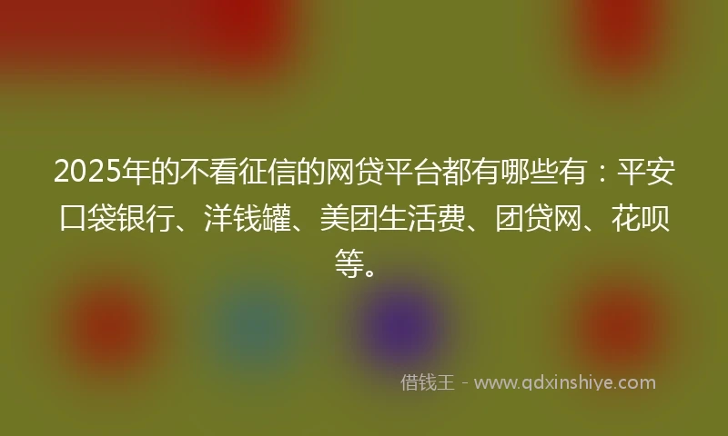2025年的不看征信的网贷平台都有哪些有：平安口袋银行、洋钱罐、美团生活费、团贷网、花呗等。