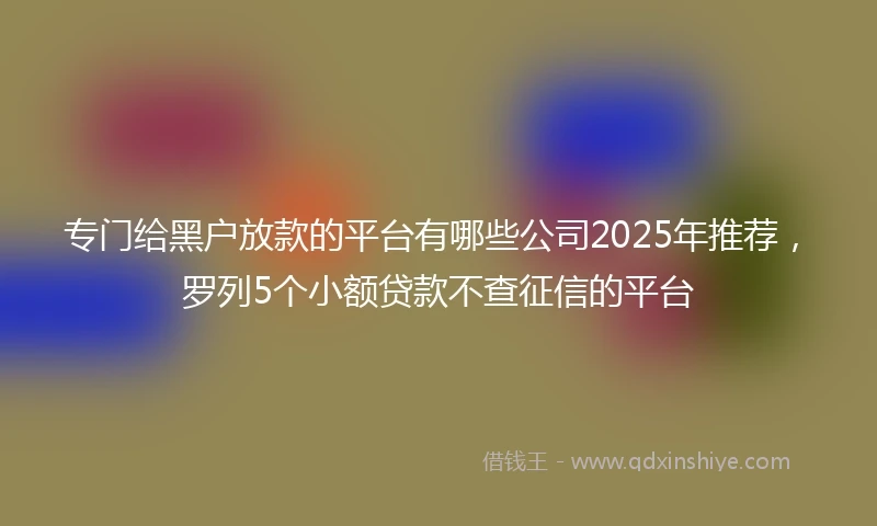 专门给黑户放款的平台有哪些公司2025年推荐，罗列5个小额贷款不查征信的平台
