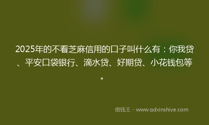 2025年的不看芝麻信用的口子叫什么有：你我贷、平安口袋银行、滴水贷、好期贷、小花钱包等。