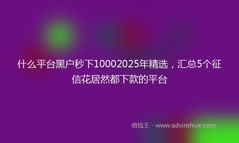 什么平台黑户秒下10002025年精选，汇总5个征信花居然都下款的平台
