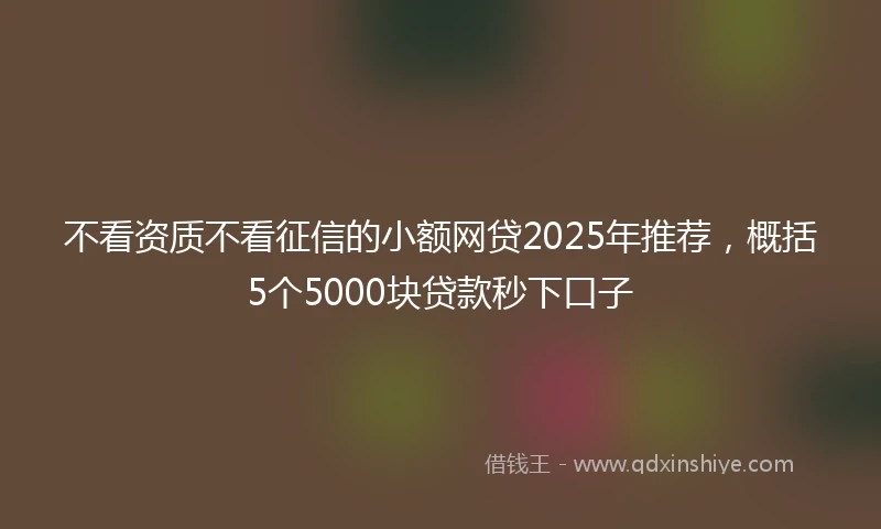 不看资质不看征信的小额网贷2025年推荐，概括5个5000块贷款秒下口子