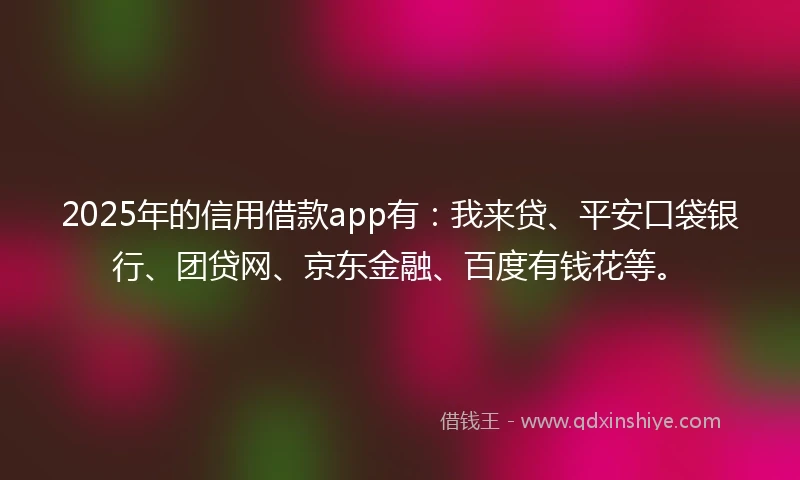 2025年的信用借款app有：我来贷、平安口袋银行、团贷网、京东金融、百度有钱花等。
