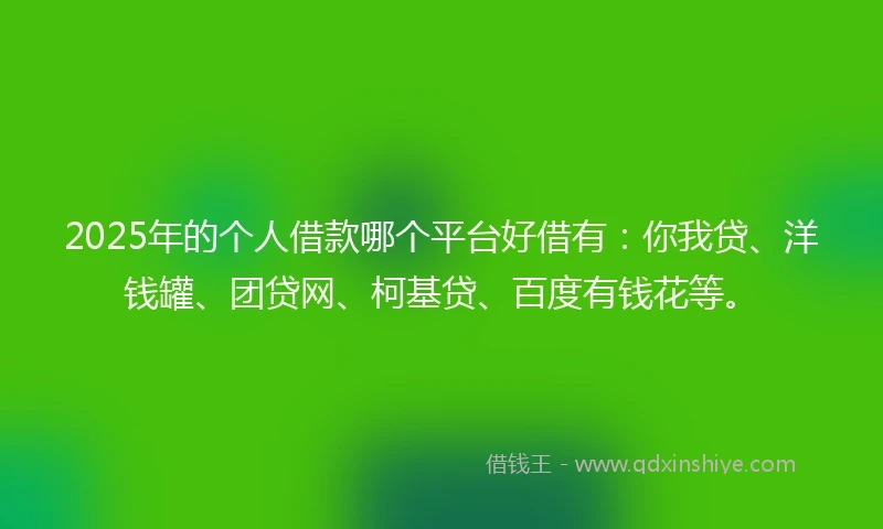 2025年的个人借款哪个平台好借有：你我贷、洋钱罐、团贷网、柯基贷、百度有钱花等。