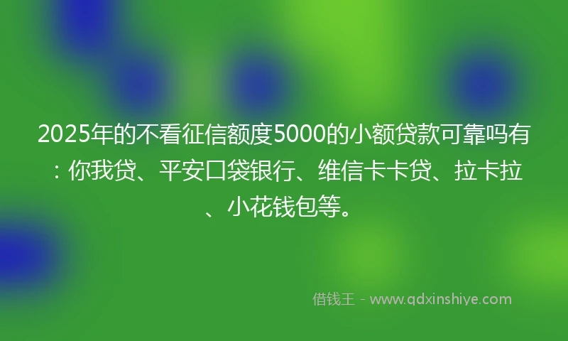 2025年的不看征信额度5000的小额贷款可靠吗有：你我贷、平安口袋银行、维信卡卡贷、拉卡拉、小花钱包等。