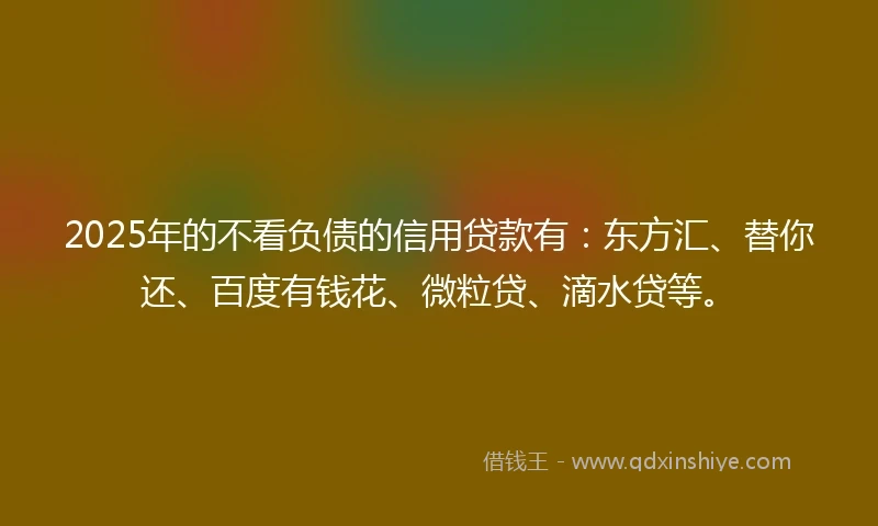 2025年的不看负债的信用贷款有：东方汇、替你还、百度有钱花、微粒贷、滴水贷等。