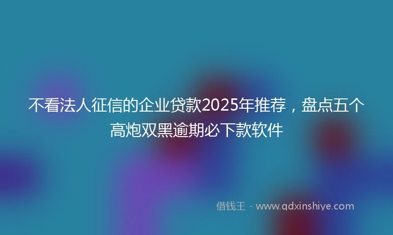 不看法人征信的企业贷款2025年推荐，盘点五个高炮双黑逾期必下款软件
