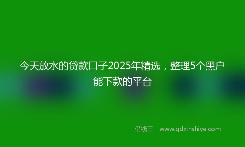 今天放水的贷款口子2025年精选，整理5个黑户能下款的平台
