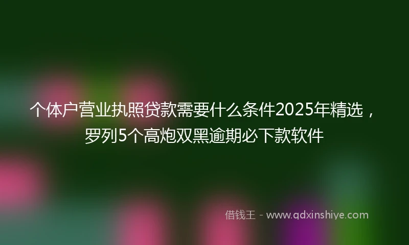 个体户营业执照贷款需要什么条件2025年精选，罗列5个高炮双黑逾期必下款软件