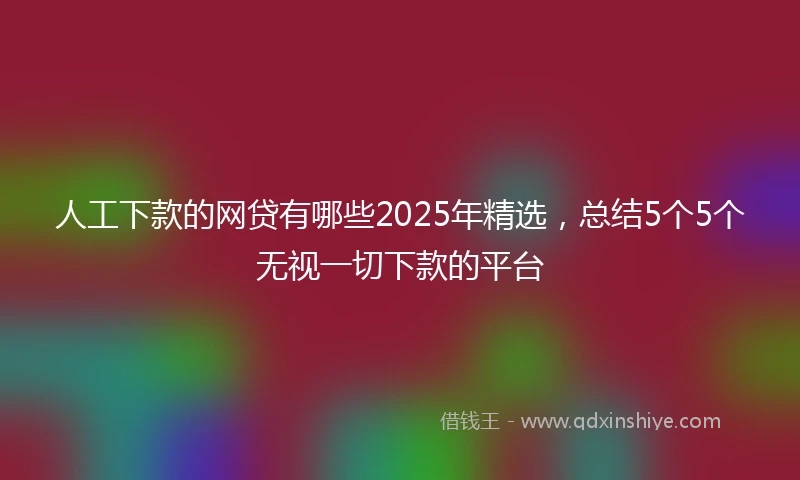 人工下款的网贷有哪些2025年精选，总结5个5个无视一切下款的平台