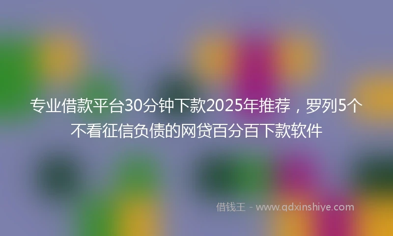专业借款平台30分钟下款2025年推荐，罗列5个不看征信负债的网贷百分百下款软件
