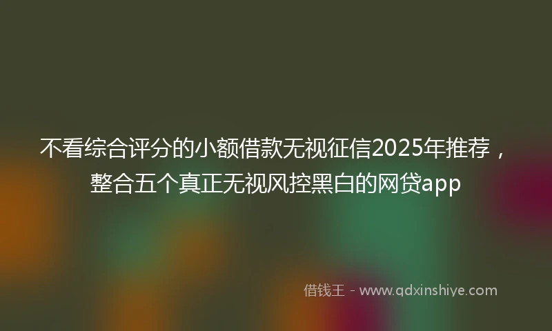 不看综合评分的小额借款无视征信2025年推荐，整合五个真正无视风控黑白的网贷app