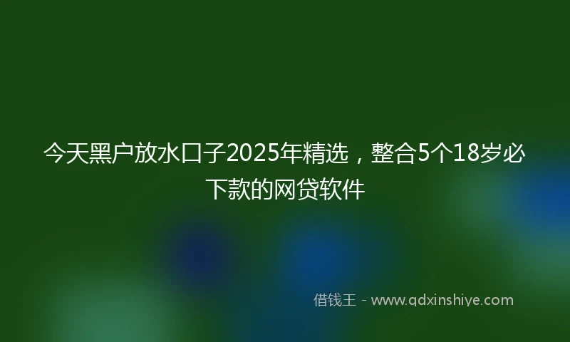 今天黑户放水口子2025年精选，整合5个18岁必下款的网贷软件