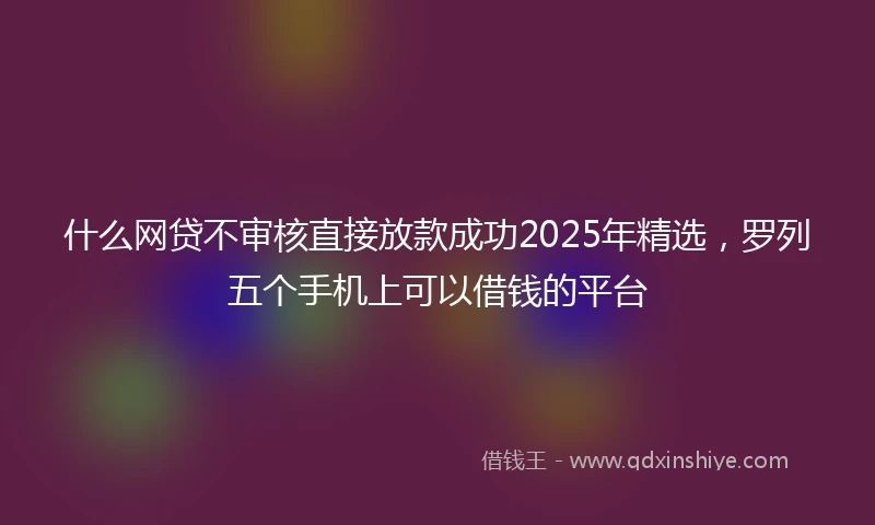 什么网贷不审核直接放款成功2025年精选，罗列五个手机上可以借钱的平台