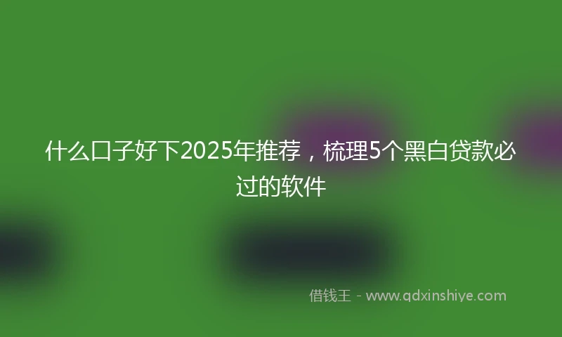 什么口子好下2025年推荐，梳理5个黑白贷款必过的软件