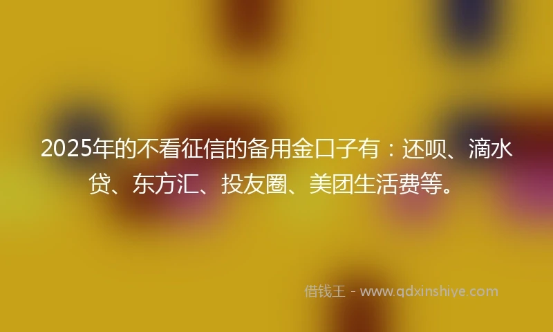 2025年的不看征信的备用金口子有：还呗、滴水贷、东方汇、投友圈、美团生活费等。