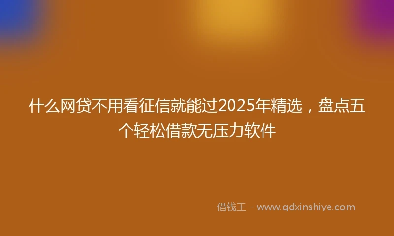 什么网贷不用看征信就能过2025年精选，盘点五个轻松借款无压力软件
