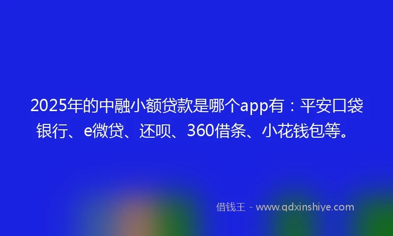 2025年的中融小额贷款是哪个app有：平安口袋银行、e微贷、还呗、360借条、小花钱包等。