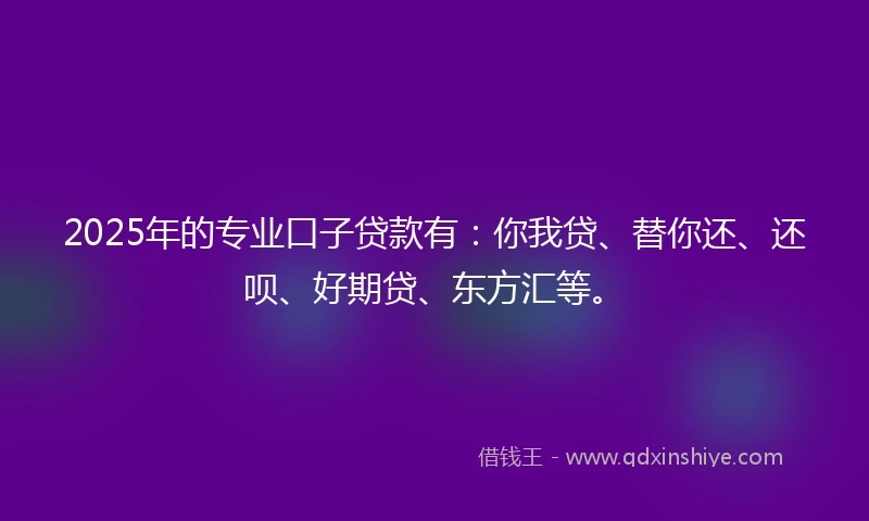 2025年的专业口子贷款有：你我贷、替你还、还呗、好期贷、东方汇等。
