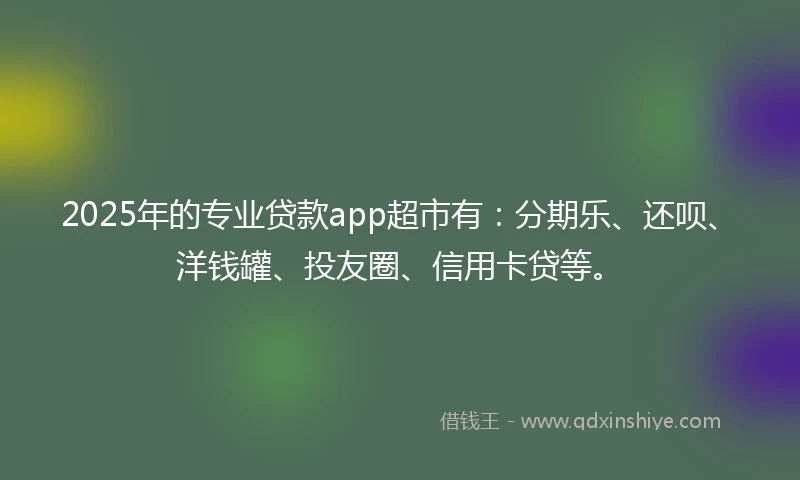 2025年的专业贷款app超市有：分期乐、还呗、洋钱罐、投友圈、信用卡贷等。