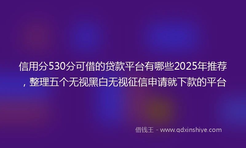 信用分530分可借的贷款平台有哪些2025年推荐,整理五个无视黑白无视征信申请就下款的平台