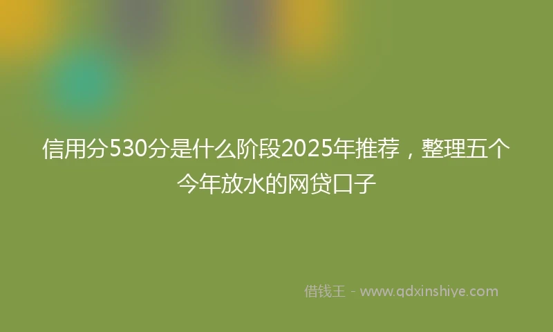 信用分530分是什么阶段2025年推荐，整理五个今年放水的网贷口子