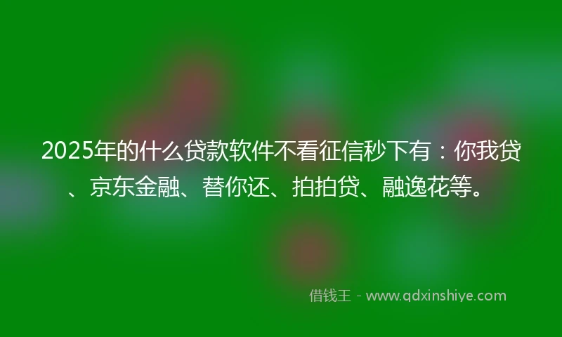 2025年的什么贷款软件不看征信秒下有：你我贷、京东金融、替你还、拍拍贷、融逸花等。