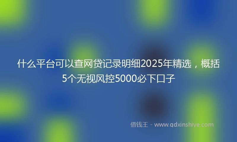 什么平台可以查网贷记录明细2025年精选，概括5个无视风控5000必下口子