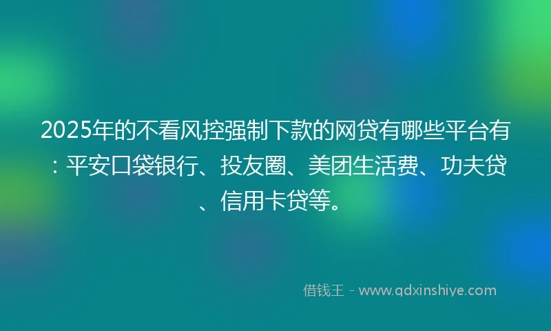 2025年的不看风控强制下款的网贷有哪些平台有：平安口袋银行、投友圈、美团生活费、功夫贷、信用卡贷等。