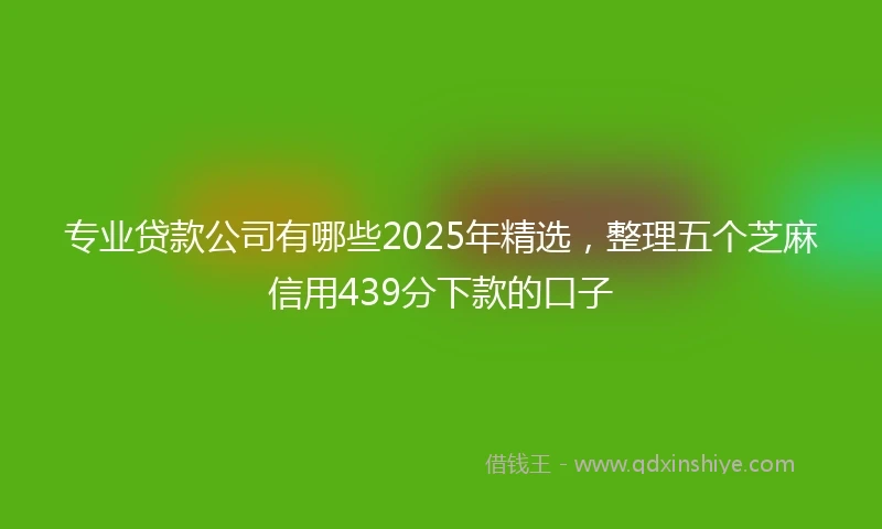专业贷款公司有哪些2025年精选，整理五个芝麻信用439分下款的口子