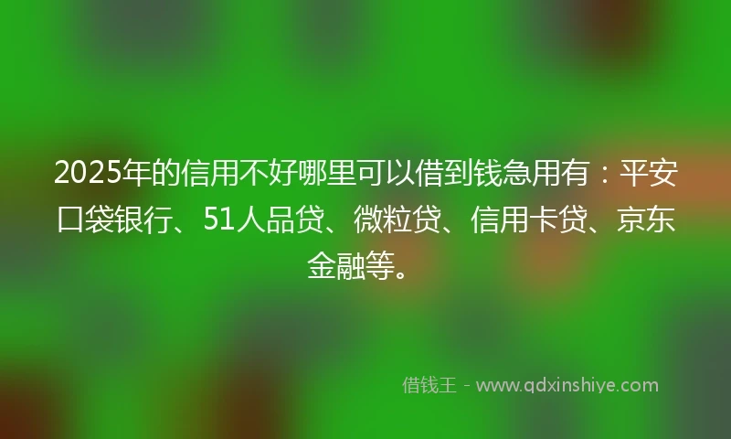 2025年的信用不好哪里可以借到钱急用有：平安口袋银行、51人品贷、微粒贷、信用卡贷、京东金融等。